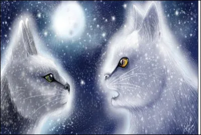 Qui est le frère de Poil de Souris ?