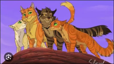 Qui sont les élus designés par le Clan des Étoiles pour aller voir Minuit ?