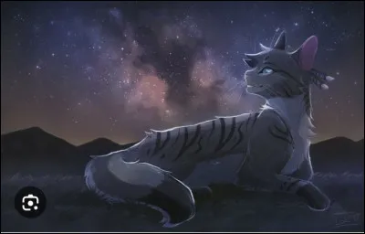 Et enfin, une facile : que veut dire "Chemin du Tonnerre" ?