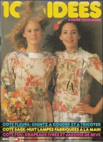 Quel magazine, fondé en 1972, sadressait à tous les fans de loisirs créatifs et du DIY ?