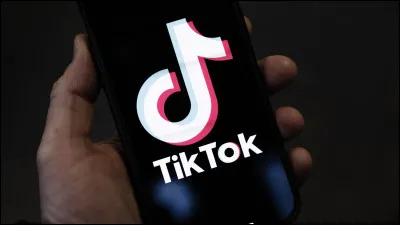 Combien d'abonnés a-t-elle sur TikTok ? (en novembre 2024)