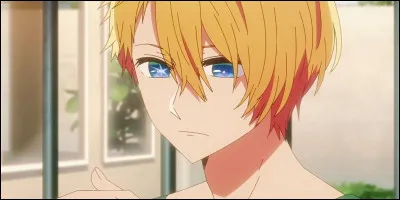 H : Hoshino Aquamarine (Oshi no ko) 
Il est le frère jumeau de quel personnage ?