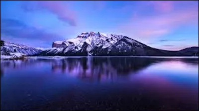 L'hystérectomie est une opération chirurgicale au cours de laquelle on retire un lobe du poumon du patient !