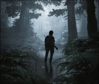 Durant une apocalypse, est-ce que tu t'associerais avec d'autres personnes ? Si oui, qui ?