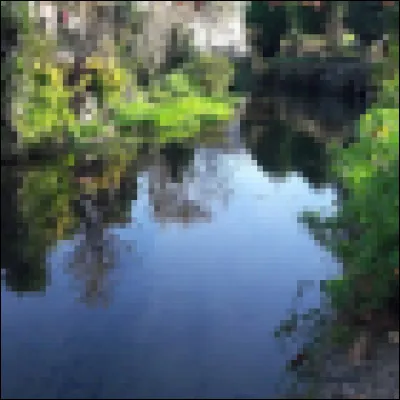 Que signifie en français l'expression "cat shining" ?