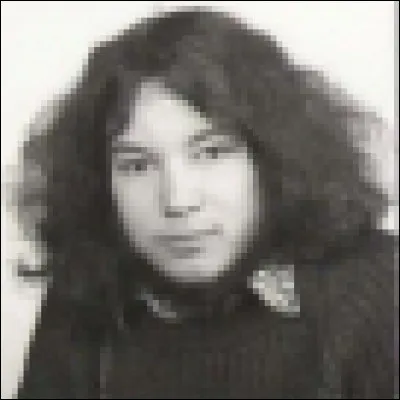 Quels instrumentistes sont susceptibles d'utiliser une fuzz ?