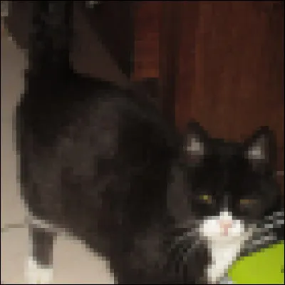 Comment traduire "rouge" en allemand ?