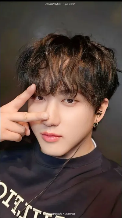 Quelle idole du groupe est représentée ?