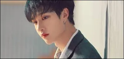 Quelle idole du groupe est représentée ?