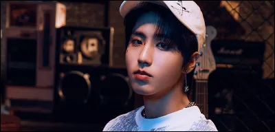 Quelle idole du groupe est représentée ?