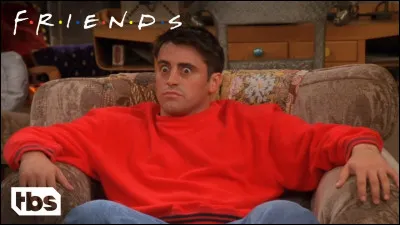 Ceci est pour vous, UnoanaLimule et LouvePheobe, grandes amatrices de la série "Friends" !

Quel métier Joey exerce-t-il dans la série ?