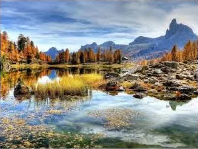 Quelle association a participé à la création du SPF ?