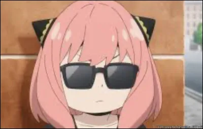 Quel est son pouvoir ?