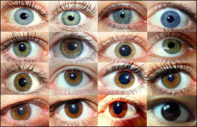 Quelle est la couleur de tes yeux ?