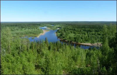Quelle est la forêt la plus vaste du monde ?