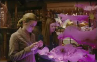 Comment sappelle-t-il ?