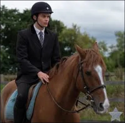 Comment s'appelle le cheval de Pin ?