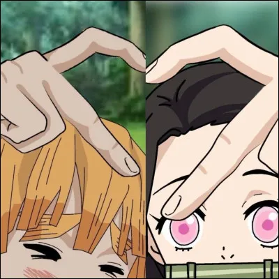 Zenitsu adore Nezuko.