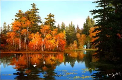 Dans le nord de l'Am&eacute;rique, comment appelle-t-on la p&eacute;riode douce et ensoleill&eacute;e qui a lieu en automne, juste avant l'hiver ?