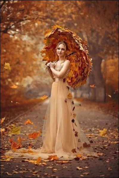 C'est Joe Dassin qui a décrit ce phénomène du nord de l'Amérique, dans sa chanson célèbre. À son début, il murmure "C'était un automne où il faisait beau... avec ta robe longue , tu ressemblais à une aquarelle..." Mais à quelle aquarelle ?