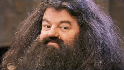 Pour quelle raison Hagrid a-t-il été renvoyé de Poudlard ?