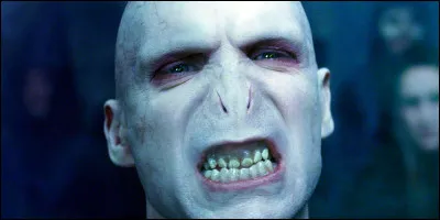 Comment Voldemort a-t-il prévenu les Mangemorts de son retour ?