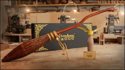 Qui offre un Nimbus 2000 à Harry ?