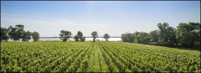 Quelle est cette petite r&eacute;gion du nord-ouest du d&eacute;partement, d&eacute;limit&eacute;e par l'oc&eacute;an Atlantique &agrave; l'ouest et la Gironde &agrave; l'est, et se terminant au nord par la pointe de Grave ?