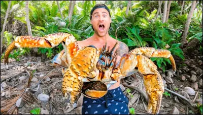 Vous pouvez ici voir sa taille gigantesque à côté d'un humain. C'est un crabe de cocotier, le plus grand de la famille des arthropodes. Avec ses grosses pinces, il peut casser des noix de coco. Il vit principalement dans les régions tropicales...