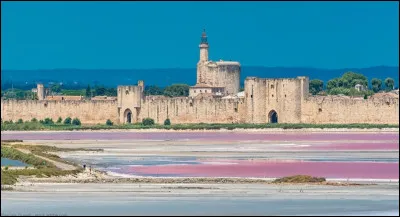 La ville d'Aigues-Mortes, dans le sud de la France, est connue pour ses remparts et ses grands salins roses. Mais c'est aussi une micronation ! Elle se définit comme principauté et possède donc son propre prince, Jean-Pierre IV ! Elle accueille également des sommets de la microfrancophonie. Dans quel département cette micronation se situe-t-elle ?