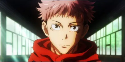 Famille "Jujutsu Kaisen" : qui est la fille qui accompagne souvent Itadori Yuji ?