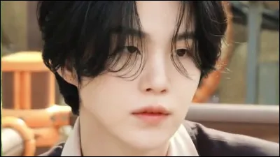 Quel est le nom de scène de Min Yoon-gi, membre de BTS ?