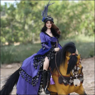 Quel est l'âge idéal de ton cheval ?