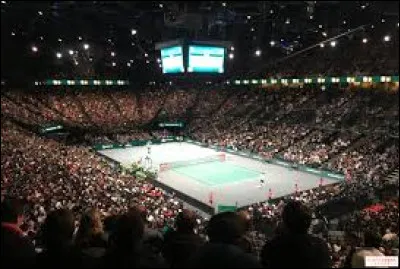 Le Tournoi de tennis de Paris 2024 a-t-il été gagné par Novak Djokovic ?