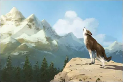 Le chien-loup d'un célèbre roman de Jack London se nomme-t-il Croc-Noir ?