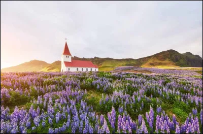 Que dit-on de quelqu'un qui est "successful" ?