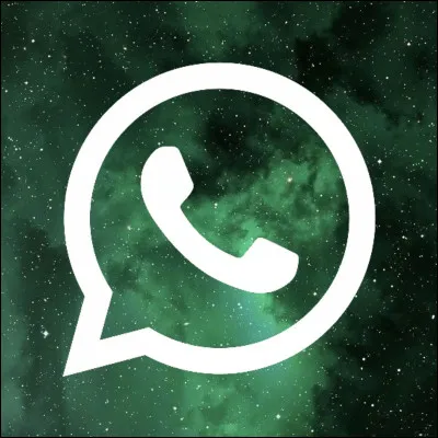 Quel est ce réseau social ?