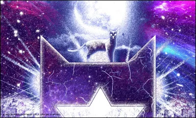 Où te situes-tu parmi tes ancêtres, le Clan des Étoiles ?