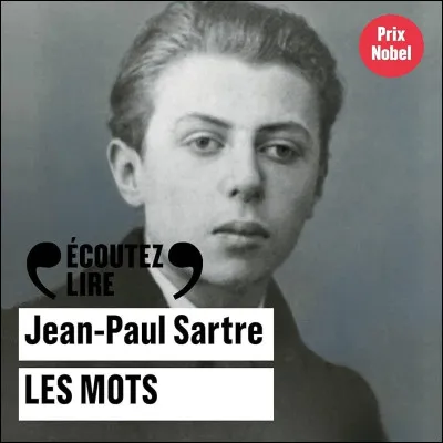 Qui chante "Les Mots" ?