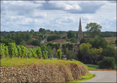 Quel est ce vin liquoreux réputé, produit dans le département dans un vignoble situé près de Langon ?