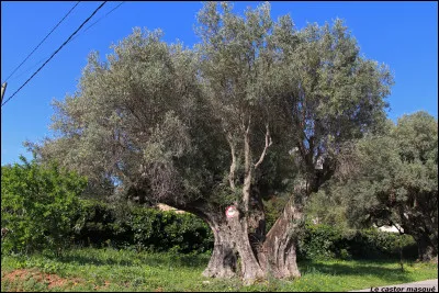 Dis-moi ton secret, de toi à moi, j'traîne les pieds, pour tout dire légère !