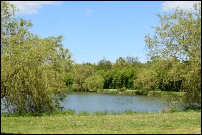 Quel est ce fleuve côtier, long au total de 103 km, qui prend sa source dans les monts du Mené dans le département des Côtes-d'Armo et se jette dans la Manche entre Dinard et Saint-Malo ?