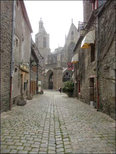 Quelle est cette ville de 5 700 habitants, située dans le nord du département, connue pour sa cathédrale de granit, ancien siège d'évêché ?