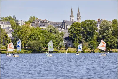 Quelle est cette ville de 7 000 habitants, située dans le sud du département, sur l'axe routier qui relie Rennes et Nantes ?