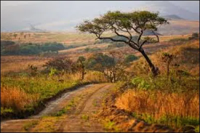 Quelle est la capitale du Malawi ?