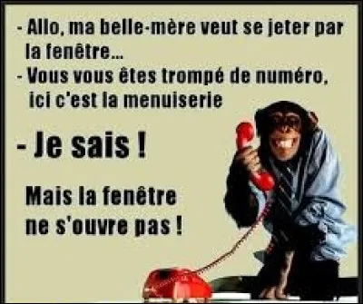 Et on clôt ce quiz par une petite citation. De quel pays est originaire ce proverbe : ''Le mariage c'est pas la mer à boire, mais la belle-mère à avaler'' ?