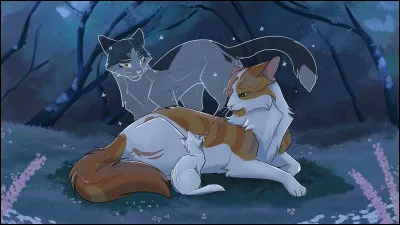 Quel couple à commencé pendant le cycle 1 ?