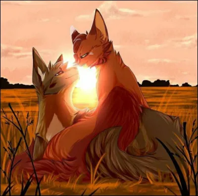 Quel couple à failli se briser pour toujours à cause d'un mensonge