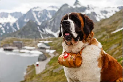 Cri d'alarme ! Samedi soir à Beyrouth, la peur, la haine, est-ce ainsi que les hommes vivent ?