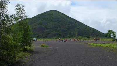 Parmi le patrimoine minier, les terrils de Loos-en-Gohelle sont particulièrement remarquables : à quelle hauteur culminent-ils ?